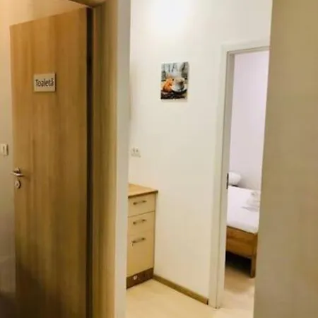 Joy City Unirii 42 2 * Timisoara